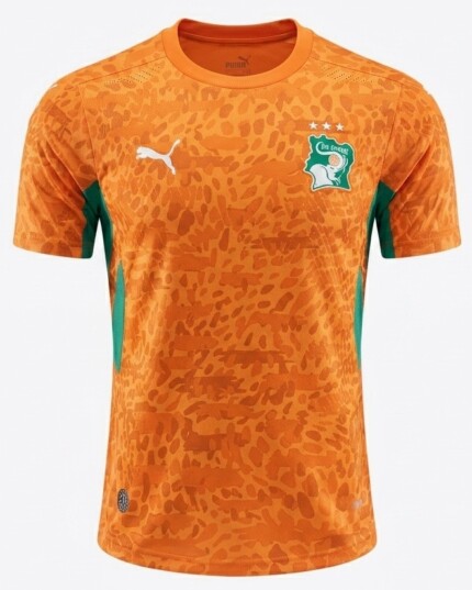 Camisa Costa Do Marfim 2026/27 - Jogador Masculina - Laranja Verde